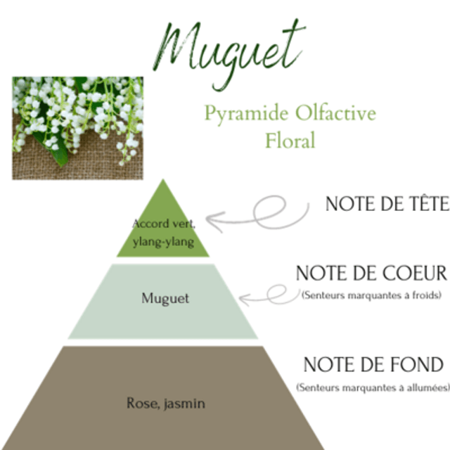 MUGUET 