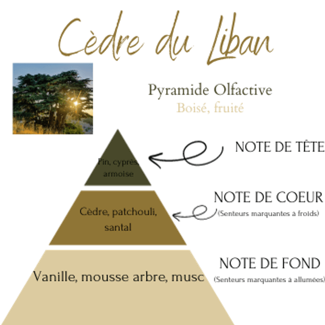 CEDRE DU LIBAN GALET FONDANT 15g