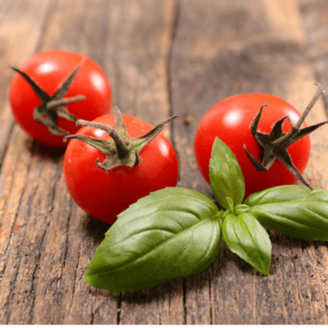 TOMATE BASILIC GALET FONDANT