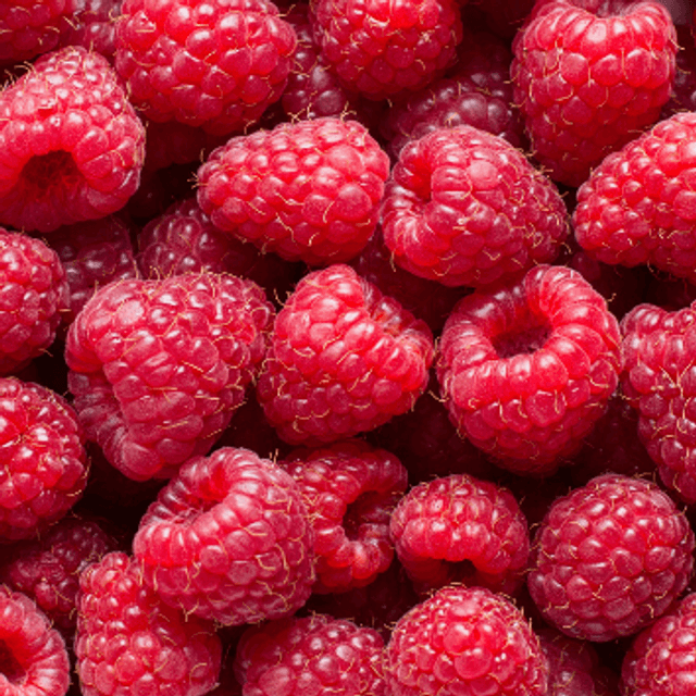 FRAMBOISE GALET FONDANT