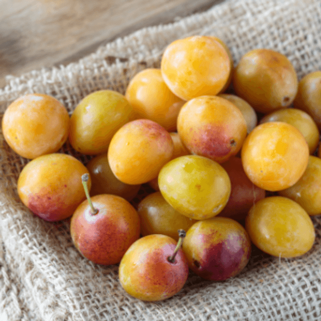 MIRABELLE 